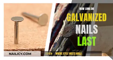 Galvanized Nails: How Long Do They Last?