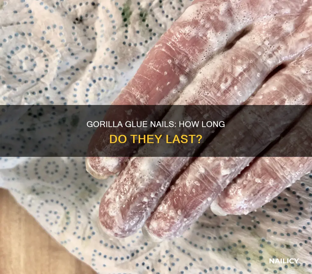 how long do gorilla glue nails last