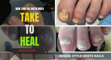 Healing Green Nails: Time and Treatment Expectations