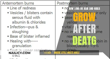The Mystery of Postmortem Hair and Nail Growth