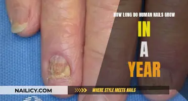 Nail Growth: How Long Do Nails Grow Yearly?