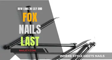 Lily and Fox Nails: How Long Do They Last?