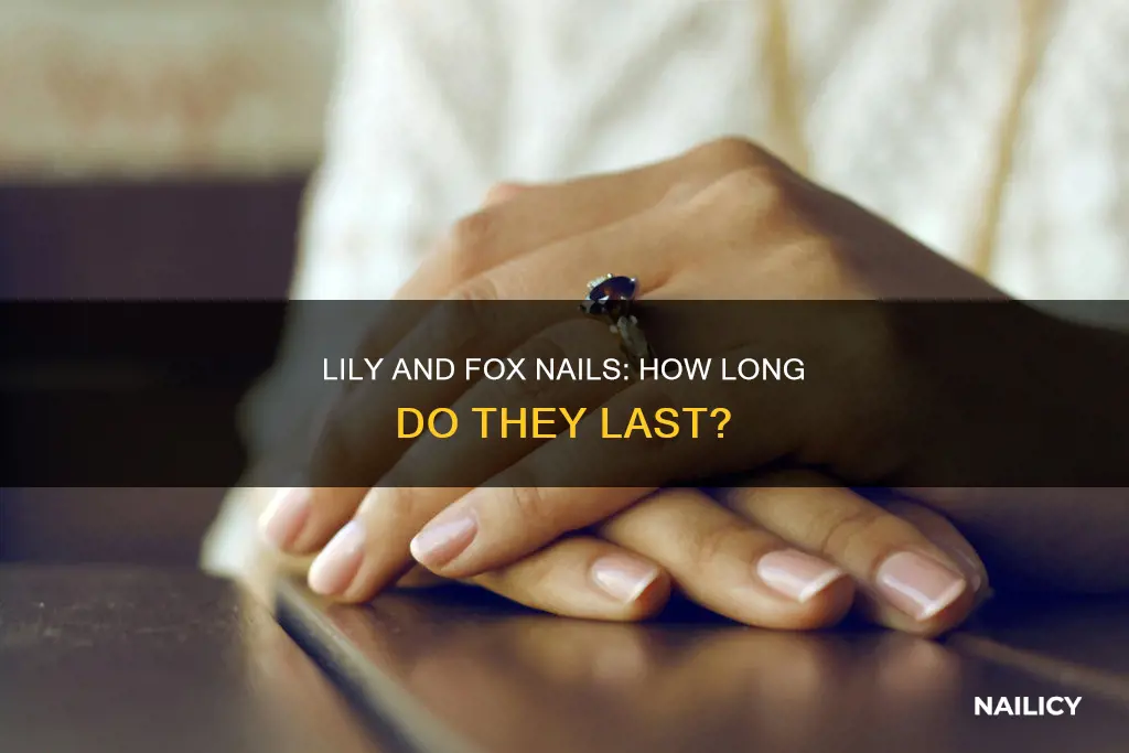 how long do lily and fox nails last