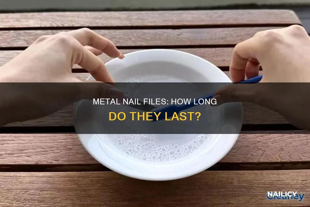 how long do metal nail files last