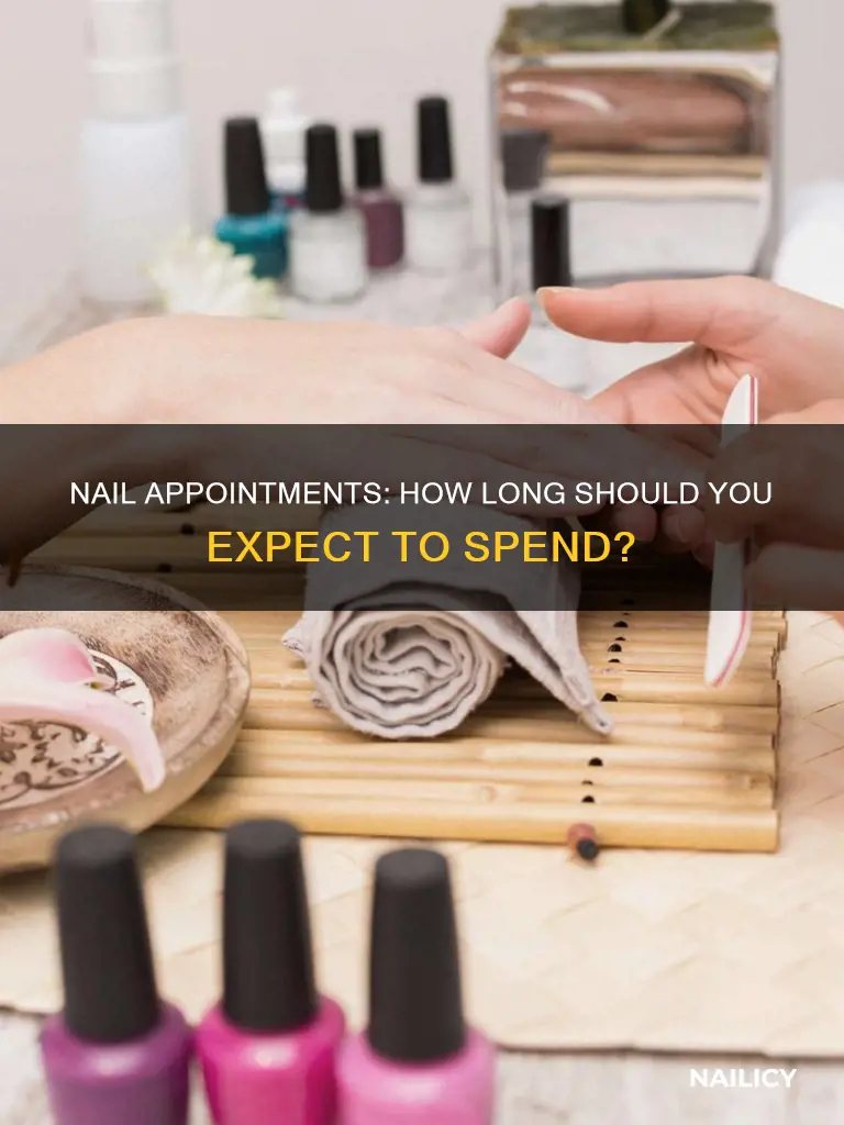 how long do nail appointments last