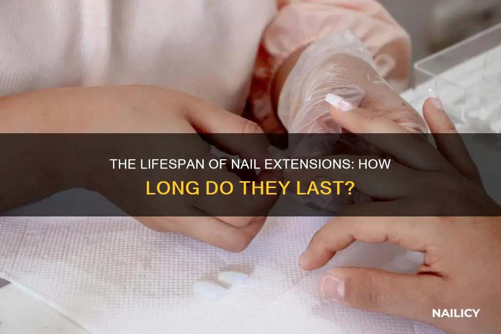 how long do nail extensions last
