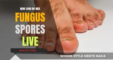 Nail Fungus: How Long Do Spores Survive?