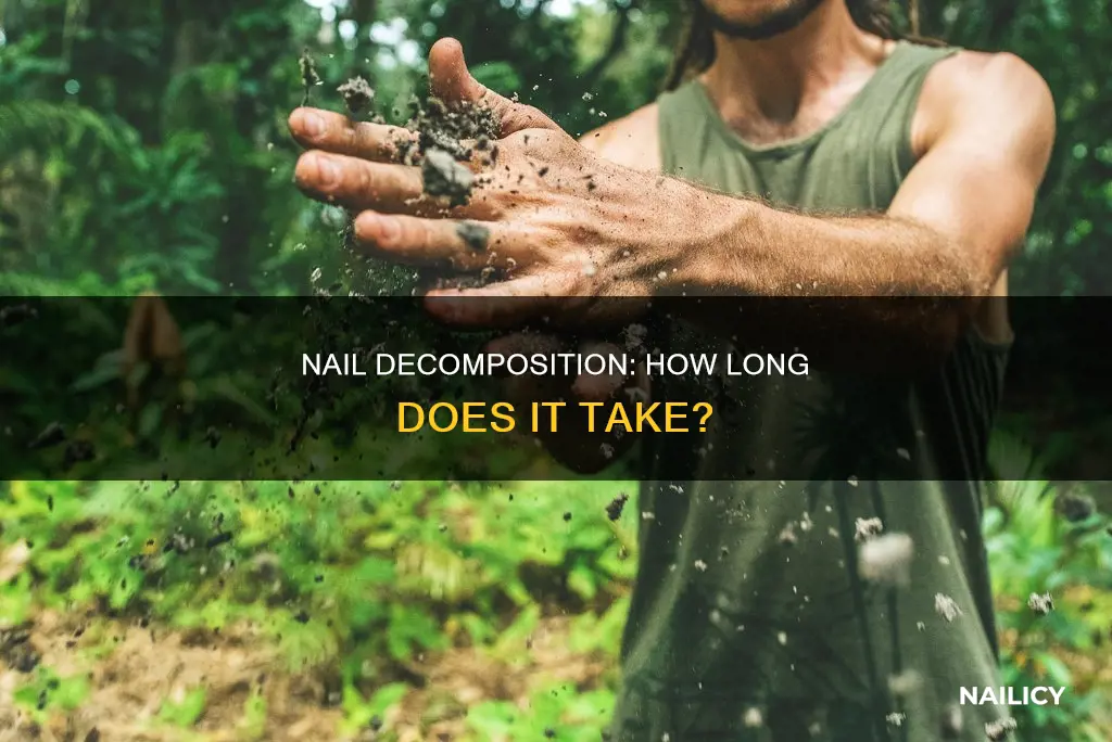 how long do nails decompose