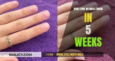 Nail Growth in 5 Weeks: How Long?
