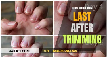 Well-Maintained Nails: How Long Do They Last?