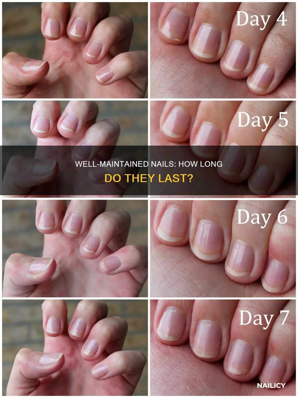 how long do nails last after trimming