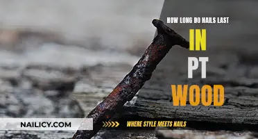 Nails in PT Wood: How Long Do They Last?