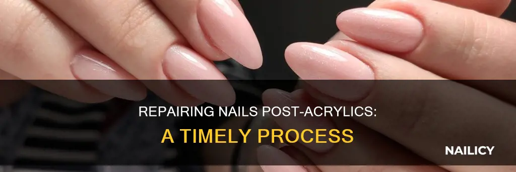 how long do nails repair from arclics