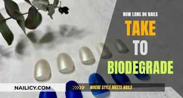 Nail Biodegradation: Understanding the Time it Takes for Nails to Disappear