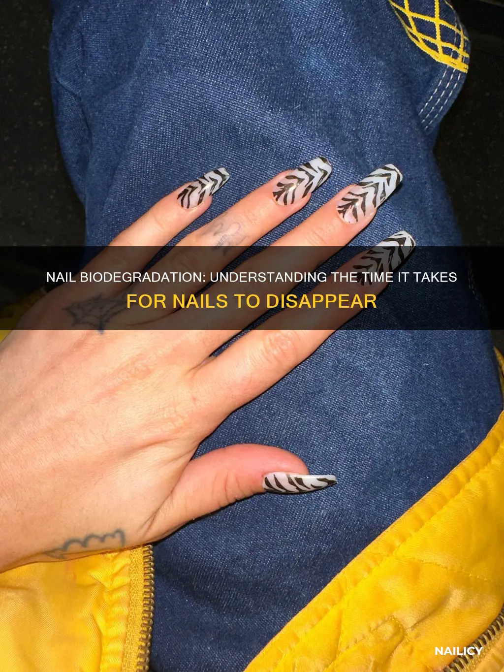 how long do nails take to biodegrade