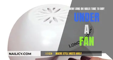 Nail Drying: Fan Power and Time Needed