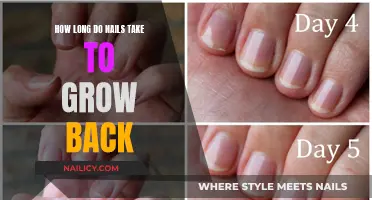 Nail Growth: How Long Before They're Back and Healthy?