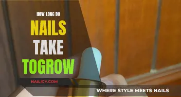 Nail Growth: How Long Does it Take to Get Long Nails?