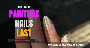 Paintbox Nails: How Long Do They Last?
