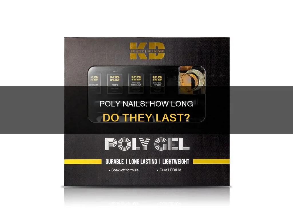 how long do poly nails last