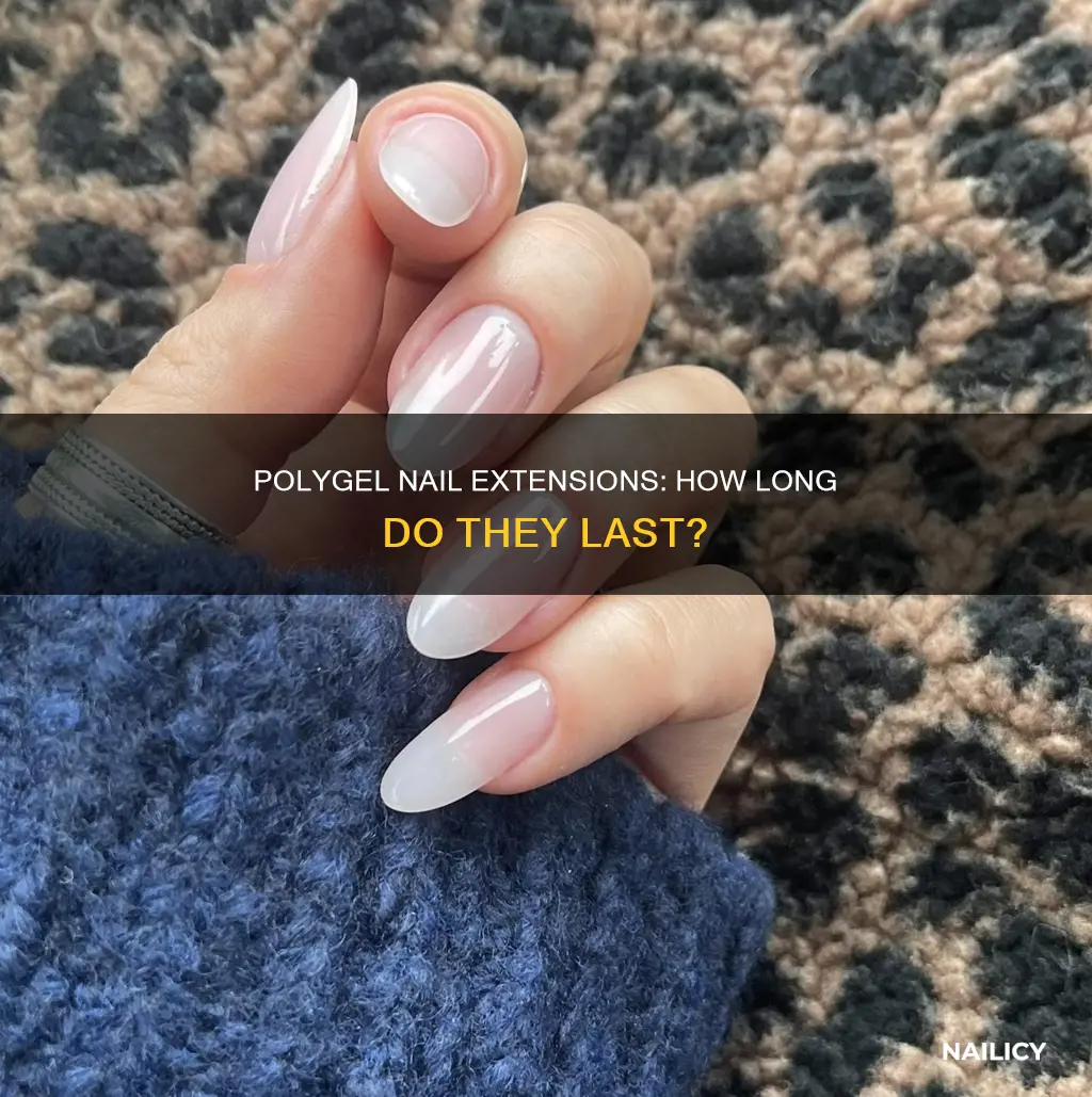 how long do polygel nail extensions last