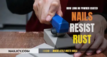 Powder-Coated Nails: Rust Resistance and Longevity Explored