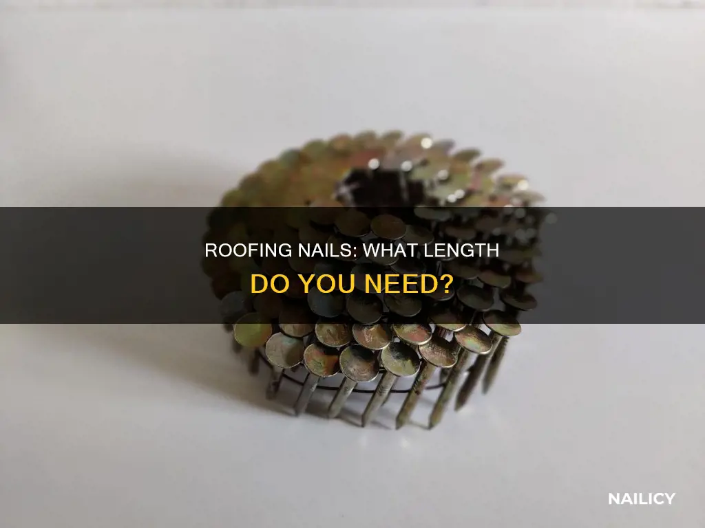 how long do roofing nails need to be