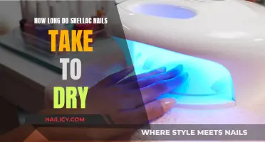 Shellac Nails: Quick-Drying Manicure Secrets