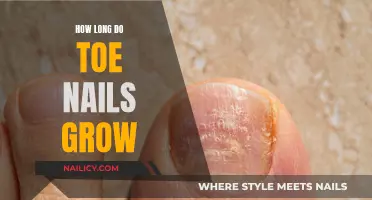 Toe Nail Growth: How Long Do They Grow?