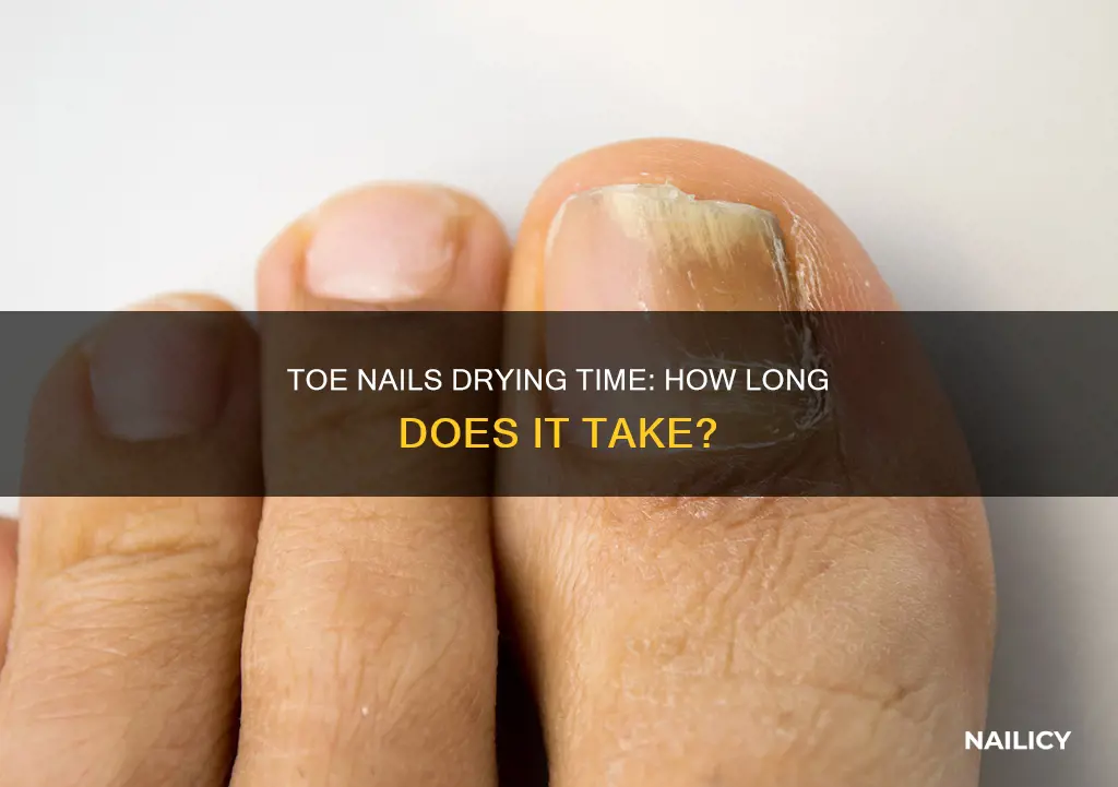 how long do toe nails take to dry