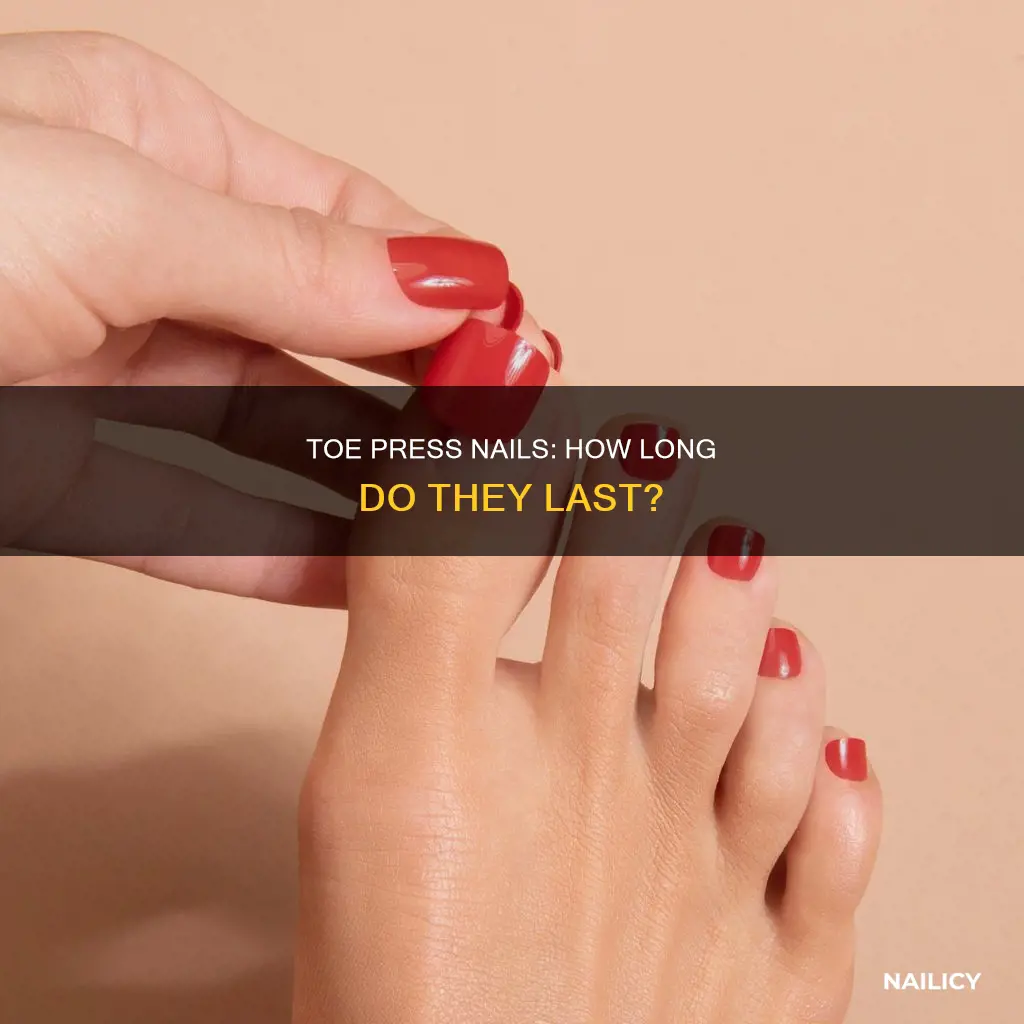 how long do toe press on nails last