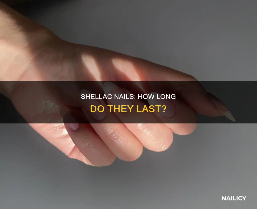 how long do u keep on shellac nails