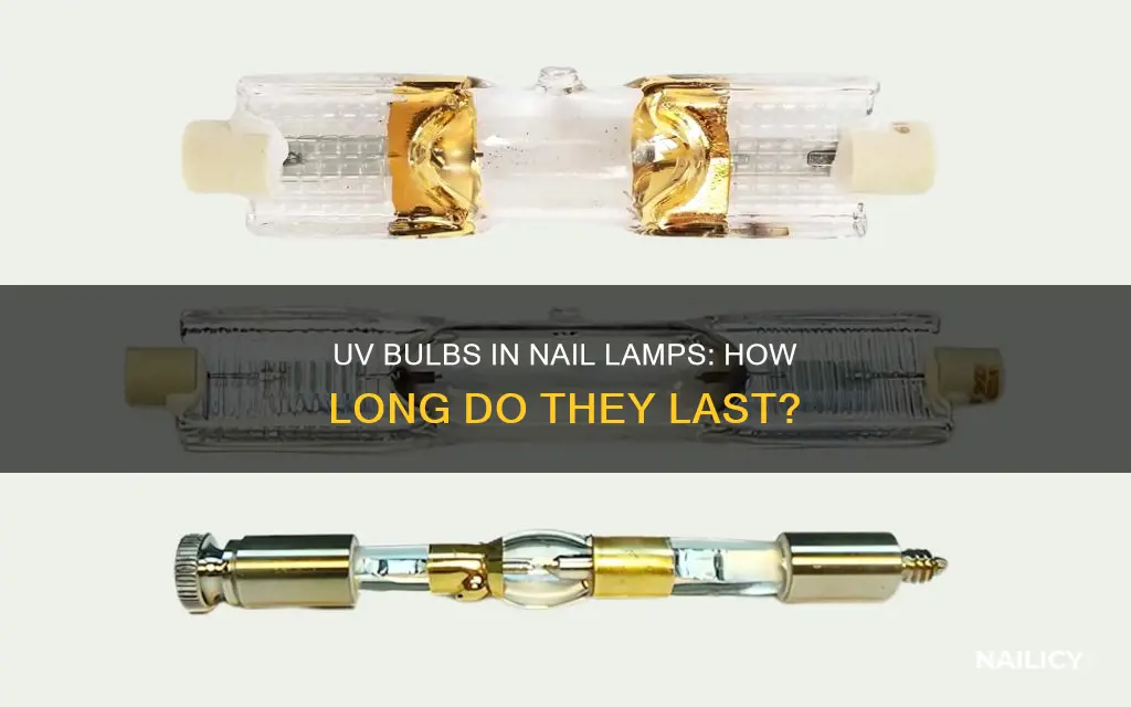 how long do uv bulbs last in a nail lamp