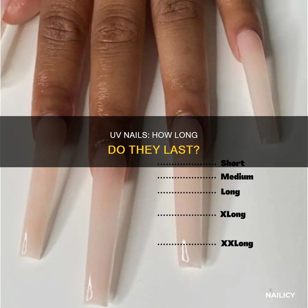 how long do uv nails last
