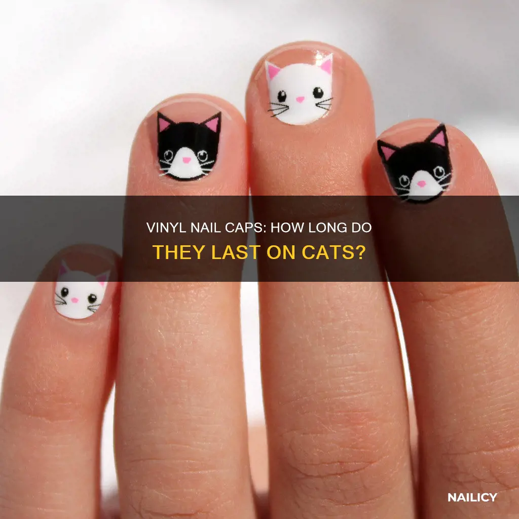 how long do vinyl nail aps stay on cats