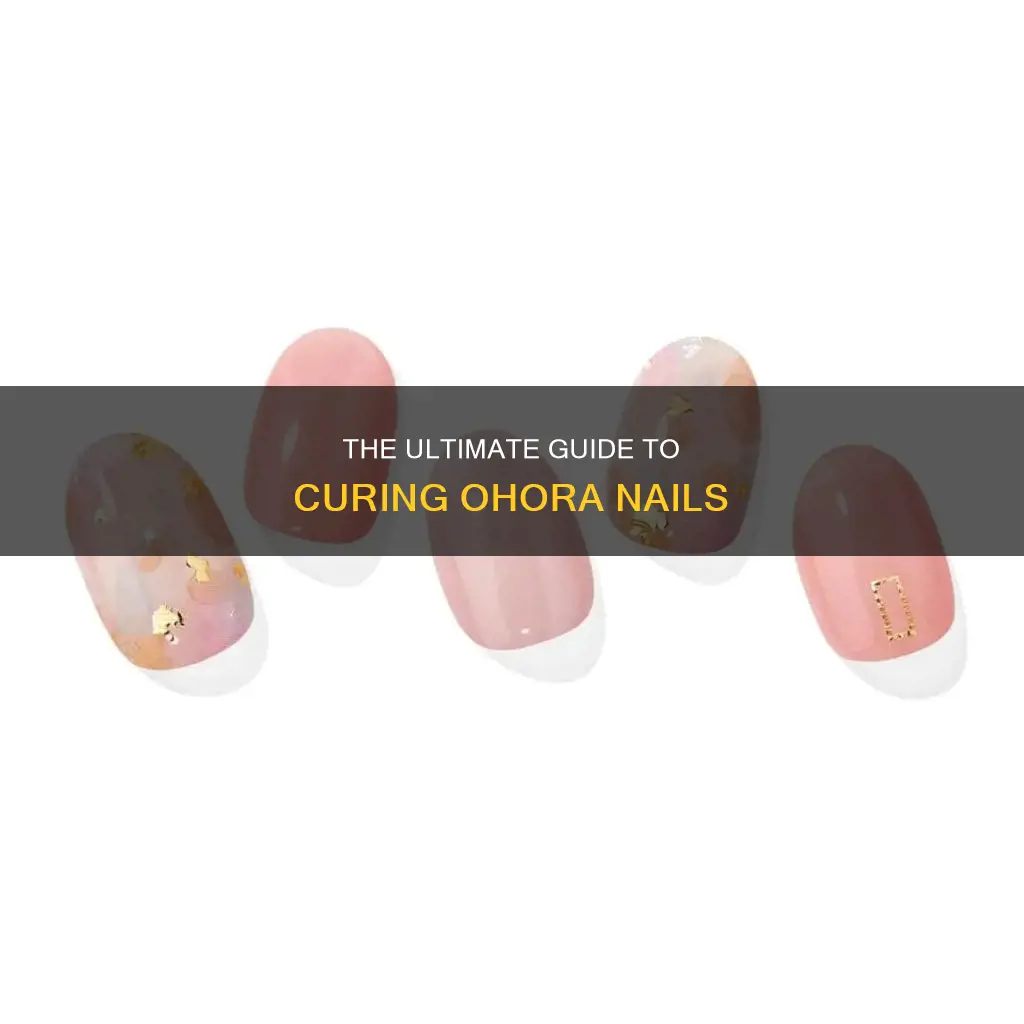 how long do you cure ohora nails
