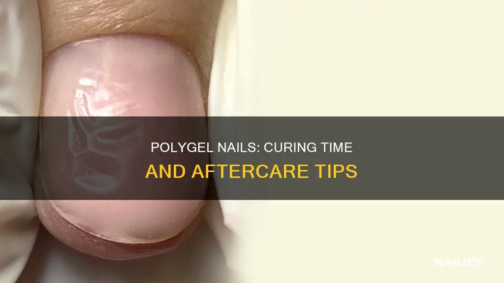 how long do you cure polygel nails