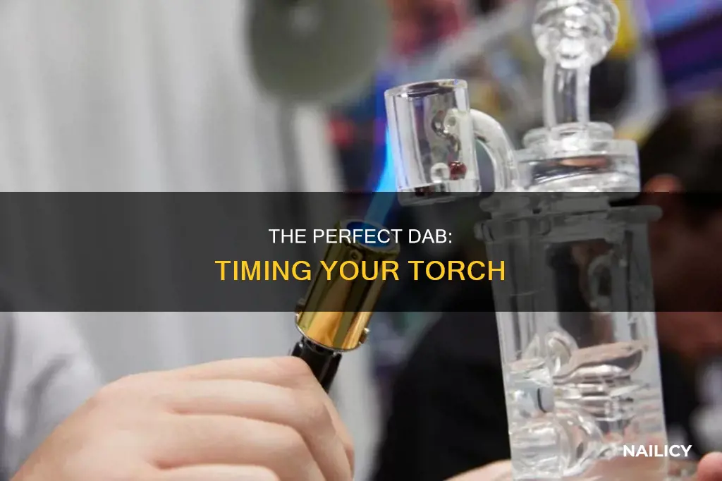 how long do you torch the dab nail