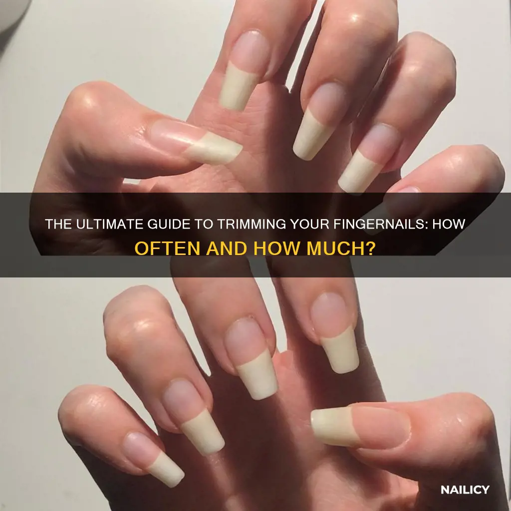 how long do you trim finger nails