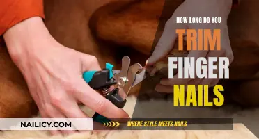 The Ideal Finger Nail Length and Trimming Frequency