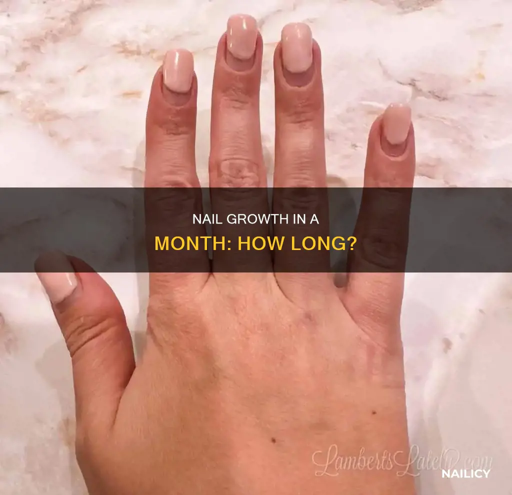 how long do your nails grow in 4 weeks
