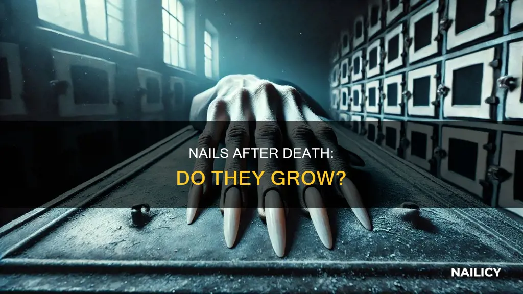 how long do your nails grow when you die