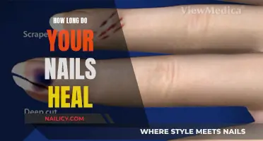 Nail Healing: Time and Tips for Healthy Nails