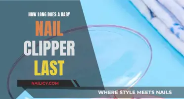 Baby Nail Clippers: How Long Do They Last?