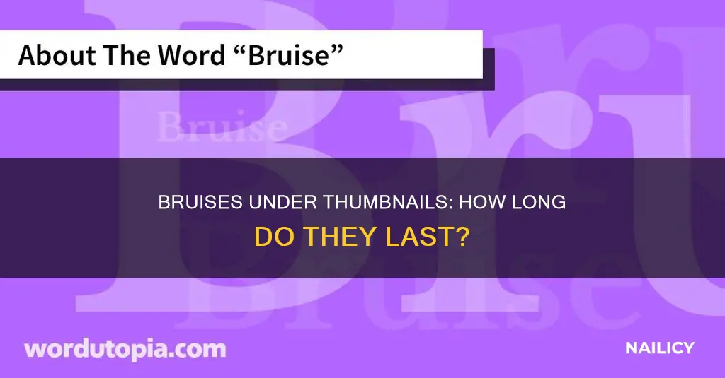 how long does a bruise under thumb nail last