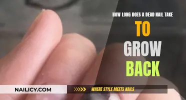 Regrowing Nails: How Long Does It Take?