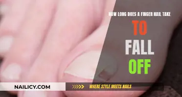 The Nail Dilemma: Falling Off and Recovery Time