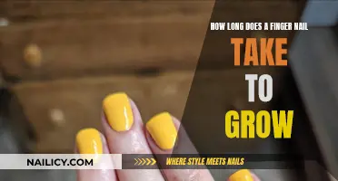 Unraveling the Mystery: How Long Does It Take for Nails to Grow?