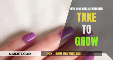 The Growth of Fingernails: How Long Does It Take?