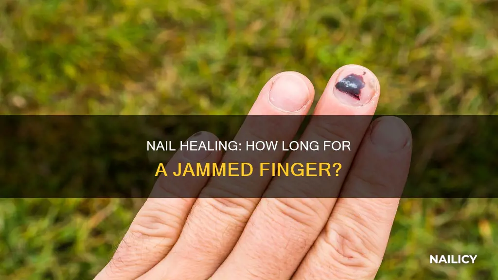 how long does a jammed finger nail take to heal